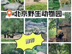 -北京野生动物园