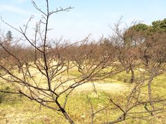 -林屋洞景区