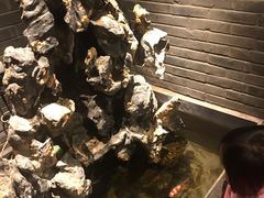 -鸭匠食府·挂炉烤鸭·新京菜(阜成路店)