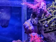 -太平洋海底世界