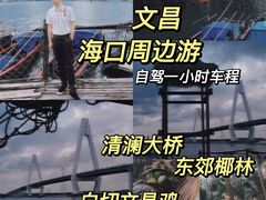 -东郊椰林