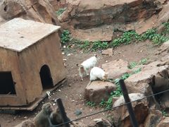-昆明动物园
