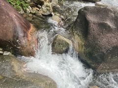 -大鄣山卧龙谷景区