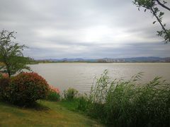 -星巴克(成都科学城店)