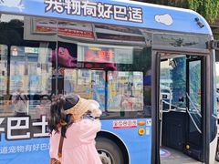 -帕帕拉兹宠物(亚洲旗舰店)