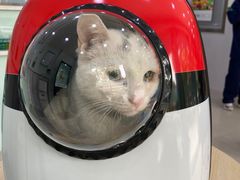 -佳雯宠物医院(金华南路分院)