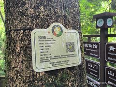 -青城山