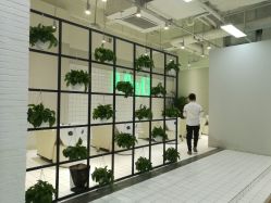 点击看大图 -P.STYLE派斯造型