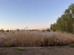 -永定河休闲森林公园
