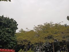 -海珠湖公园