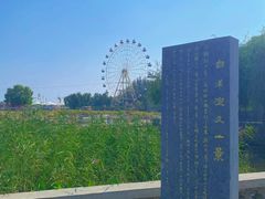 -白洋淀景区