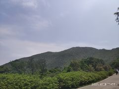 -梧桐山风景名胜区