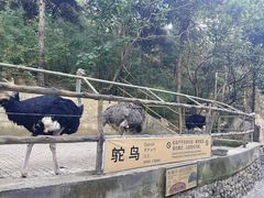 -燕塞湖鸟语林景区