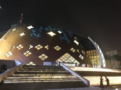 -重庆国际马戏城