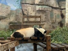 -无锡动物园·太湖欢乐园