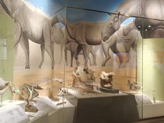 -国家自然博物馆