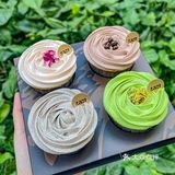 广州的这个cupcake小蛋糕❗❗没空多说...