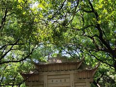-灵岩山风景区