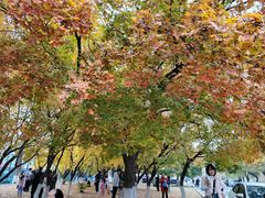 -辽宁大学(崇山校区)