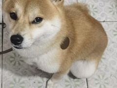 -复旦大学附属华山医院(总院)