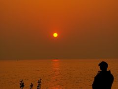 -宝安西湾红树林湿地公园