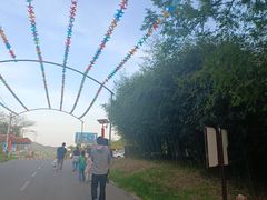 -鲁山国家森林公园