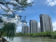 -运河游船(武林门码头)