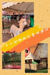 -萌宠亲子动物乐园(槐房万达店)