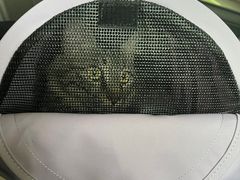 -伟伟宠物医院·CT影像中心·瑞派犬猫综合性门诊(汉口总院)