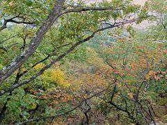 -帽儿山国家森林公园