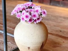 -远山有窑