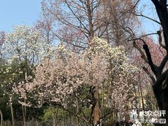 -1912街区