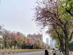 -福州仓山万达浦上大道地铁站锦江都城酒店