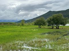 -泸沽湖国家级风景名胜区走婚桥