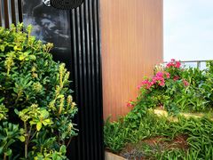 -瑰丽酒店·海吧·天际下午茶·现场DJ·天台酒吧