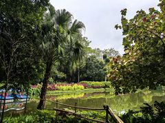-晓港公园