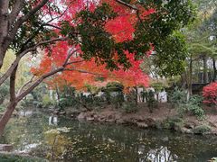 -秋霞圃