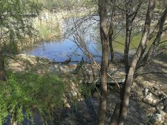 -北京麋鹿生态实验中心