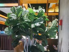 -半秋山西餐厅(宜昌大洋店)