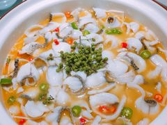 青花椒二代-青花椒花椒鱼(合生汇店)