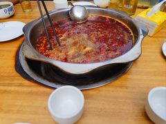 -金鼎雪山牦牛杂火锅(理县总店)