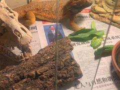 -Rabbit Cafe私房西餐甜点咖啡(栖霞路店)