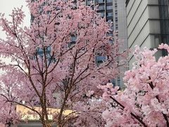 -首开·龙湖成都西宸天街