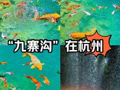 -大奇山国家森林公园