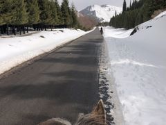 -新疆那拉提国家旅游度假区