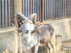 -北京动物园-畅观楼