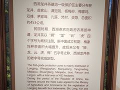-中国茶叶博物馆(双峰馆区)