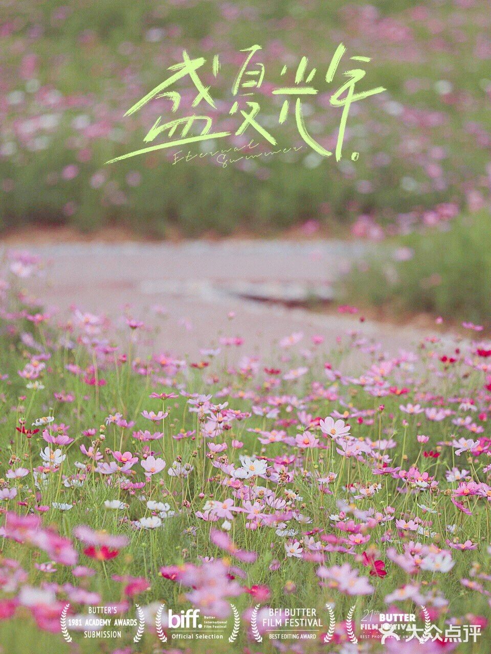 苏州终于有免费又超级大片的波斯菊花田啦