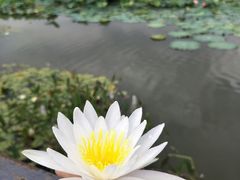 -龙潭水乡