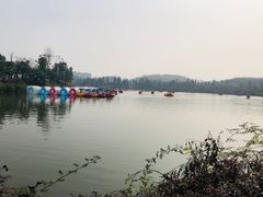 -枫香湖儿童公园